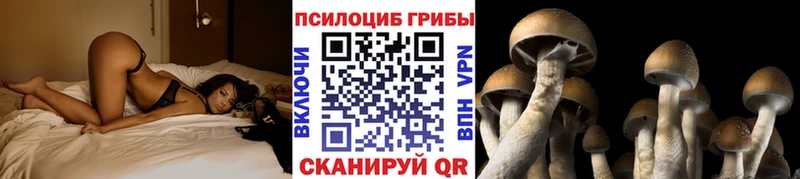 Псилоцибиновые грибы GOLDEN TEACHER  Вельск 